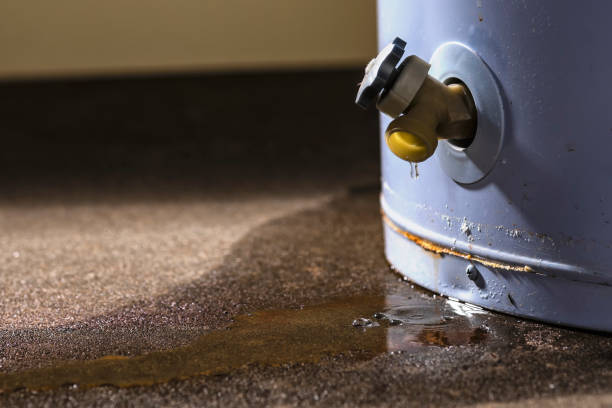Best Commercial water damage restoration  in Jefferson, IA