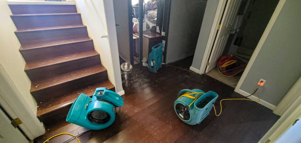 Best Fire Damage Restoration  in Jefferson, IA