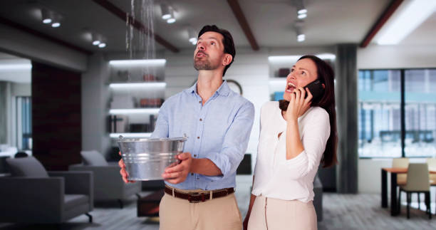 Best Water damage restoration near me  in Jefferson, IA