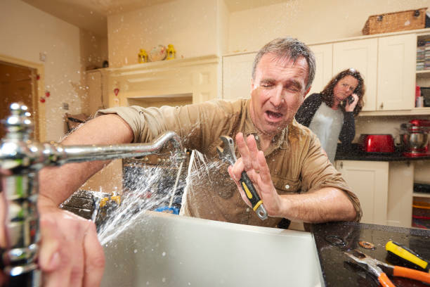 Best Fire Damage Restoration  in Jefferson, IA